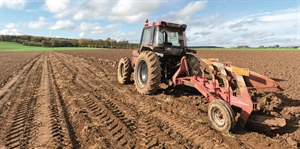 RIORDINO ENTI AGRICOLI, PRIORITARI GLI INTERVENTI PER L’EFFICIENZA DI AGEA